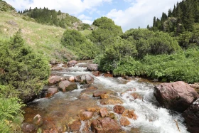 Ойжайлау Түрген шатқалы - фото 21