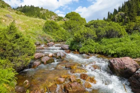 Ойжайлау Түрген шатқалы - фото 22