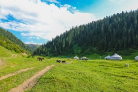 Ойжайлау Түрген шатқалы - фото 25