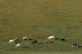 Ойжайлау Түрген шатқалы - фото 27