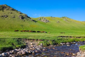 Ойжайлау Түрген шатқалы - фото 28