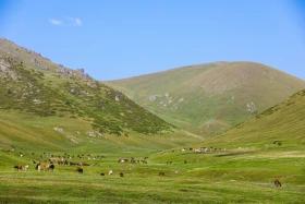 Ойжайлау Түрген шатқалы - фото 29