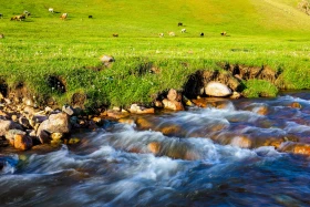 Ойжайлау Түрген шатқалы - фото 30