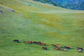 Ойжайлау Түрген шатқалы - фото 32