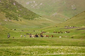 Ойжайлау Түрген шатқалы - фото 33