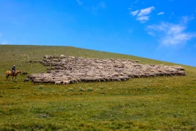 Ойжайлау Түрген шатқалы - фото 37