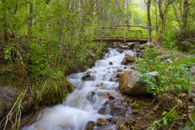 Ойжайлау Түрген шатқалы - фото 39