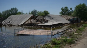 Жетісай ауданындағы су тасқыны - фото 9