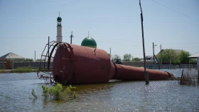 Жетісай ауданындағы су тасқыны - фото 10