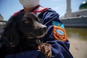 Жетісай ауданындағы су тасқыны - фото 11