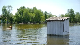 Жетісай ауданындағы су тасқыны - фото 12