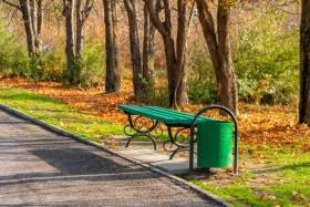 Осень в Шымкенте — время, когда город наполняется золотыми красками - фото 21