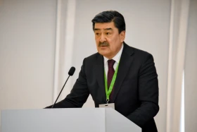 Қазақстан көміртегі бейтараптығына қол жеткізу үшін қанша қаржы қажет - фото 5