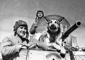 Ұлы Отан соғысының фотомұрағаты - фото 31