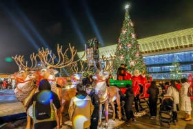 Алматыдағы ертегі атмосферасы - фото 12