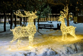 New Year Holidays in Astana - photo 45