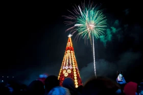 Жаңа жыл Алматы мен Астанада қалай өтті - фото 7