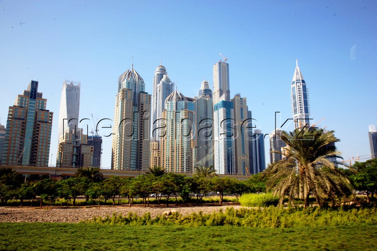 Дубай - фото 1