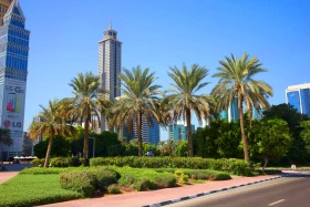 Дубай - фото 13