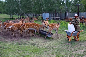 Ботай-Бурабай ашық аспан астындағы мұражай - фото 46