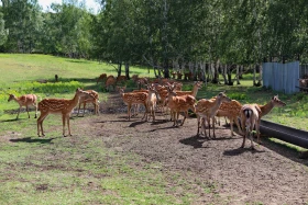 Ботай-Бурабай ашық аспан астындағы мұражай - фото 47