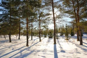 Астананың қысқы келбеті - Инфрақұрылым - фото 31