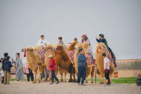 300 tourists arrived in Turkestan on the Silk Road international train - photo 2