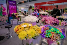 The International Flower Exhibition is taking place in Astana. - photo 11
