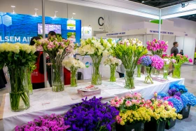 The International Flower Exhibition is taking place in Astana. - photo 18