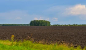 Қазақстанның далалық кеңістіктері - фото 5