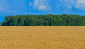 Қазақстанның далалық кеңістіктері - фото 7