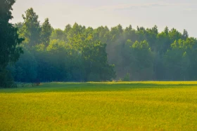 Қазақстанның далалық кеңістіктері - фото 10