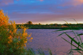 Қазақстанның далалық кеңістіктері - фото 21