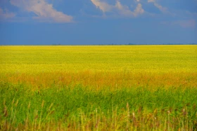 Қазақстанның далалық кеңістіктері - фото 22