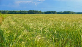 Қазақстанның далалық кеңістіктері - фото 27