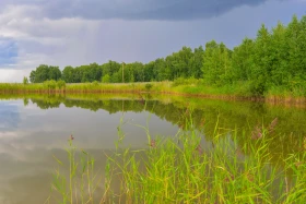 Қазақстанның далалық кеңістіктері - фото 28