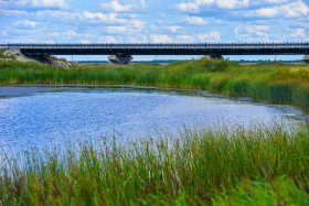 Қазақстанның далалық кеңістіктері - фото 31