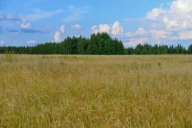 Қазақстанның далалық кеңістіктері - фото 32