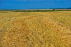 Қазақстанның далалық кеңістіктері - фото 34