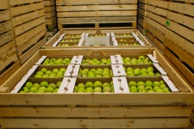 Шымкенттегі логистикалық орталығы - фото 16