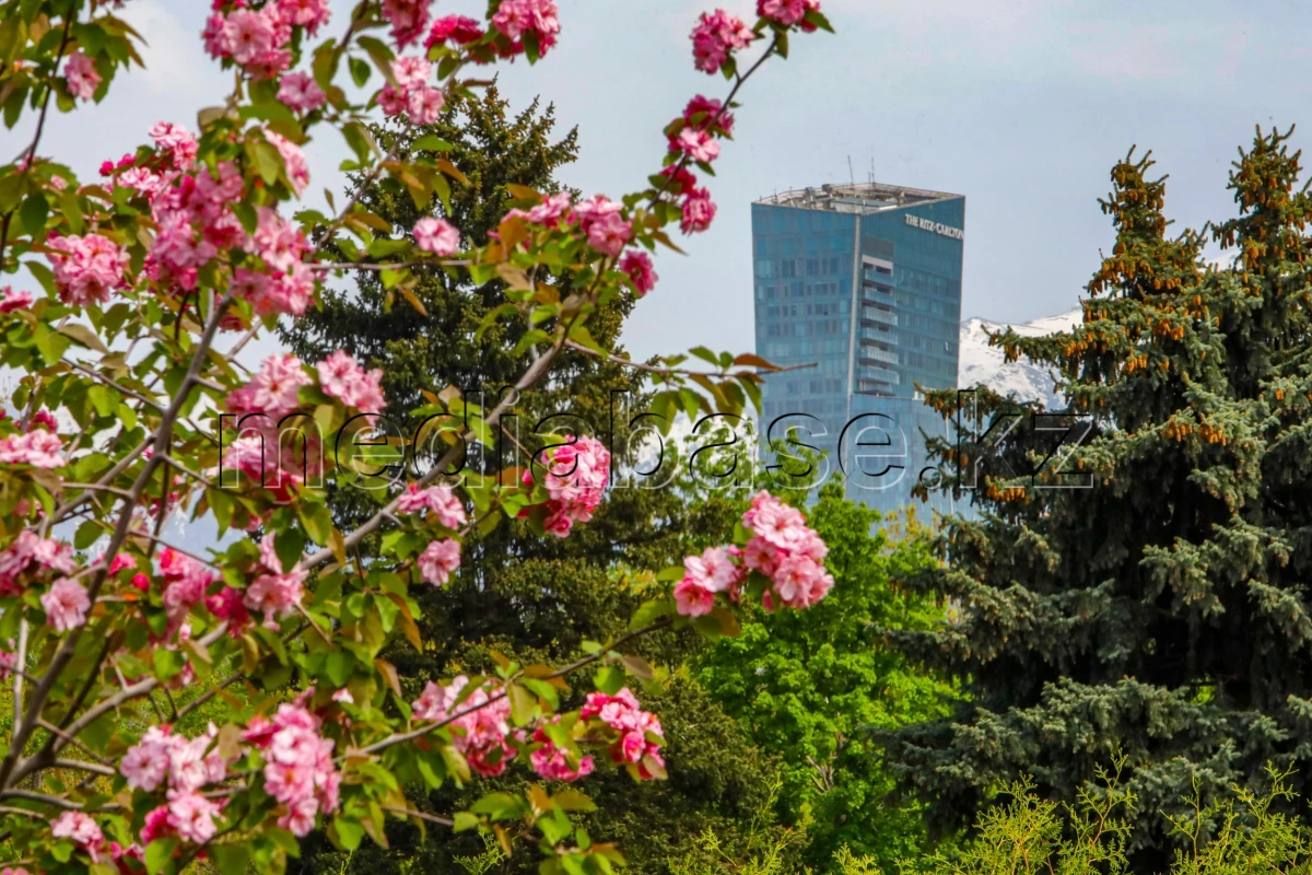 Өмір гүлдеген мекен: Алматы ботаникалық бағынан фоторепортаж - фото 1