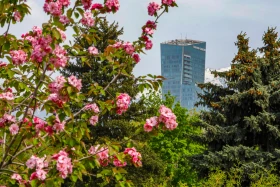 Өмір гүлдеген мекен: Алматы ботаникалық бағынан фоторепортаж