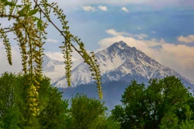 Өмір гүлдеген мекен: Алматы ботаникалық бағынан фоторепортаж - фото 3