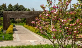 Өмір гүлдеген мекен: Алматы ботаникалық бағынан фоторепортаж - фото 12