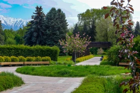 Өмір гүлдеген мекен: Алматы ботаникалық бағынан фоторепортаж - фото 17