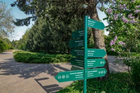 Өмір гүлдеген мекен: Алматы ботаникалық бағынан фоторепортаж - фото 19