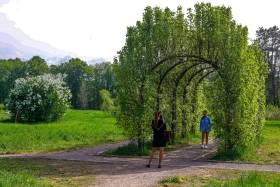 Өмір гүлдеген мекен: Алматы ботаникалық бағынан фоторепортаж - фото 23