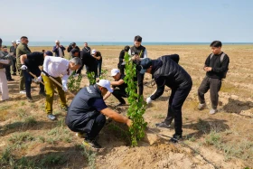 Қазақстанда орман-климаттық жағдайды жақсартуға бағытталған жоба іске қосылды