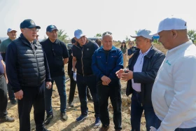 Қазақстанда орман-климаттық жағдайды жақсартуға бағытталған жоба іске қосылды - фото 2