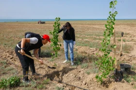 Қазақстанда орман-климаттық жағдайды жақсартуға бағытталған жоба іске қосылды - фото 5